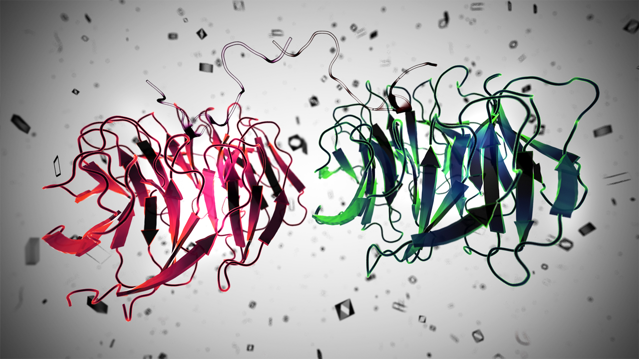 3D Protein Structure 3D Protein Structure