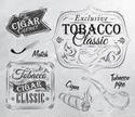 A Skull with Cigar and a White Background A Skull with Cigar and a White Background
