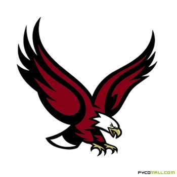 Boston College Eagles Logo Vector