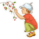 Cartoons Spring Bird Happy Cartoons Spring Bird Happy