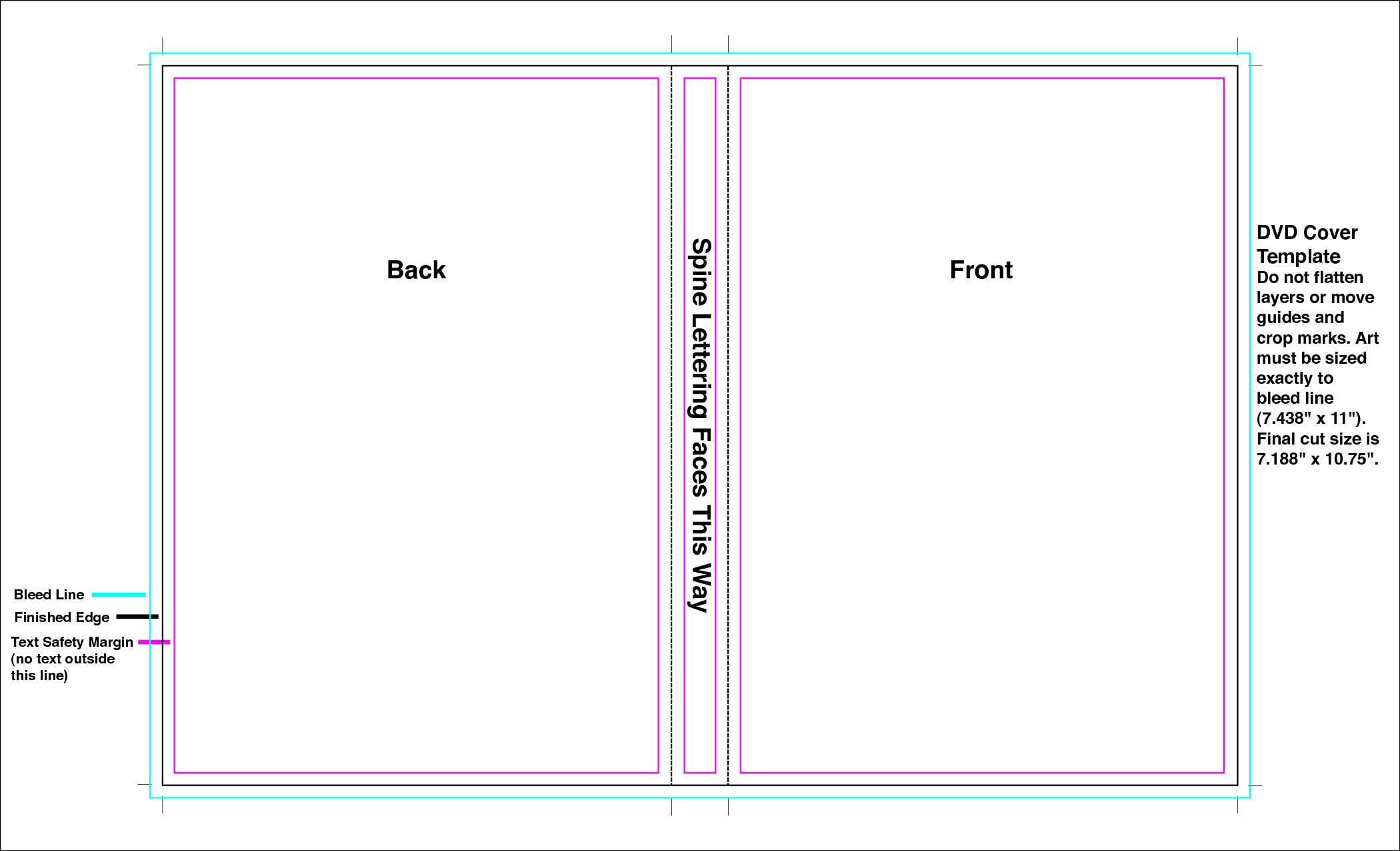 DVD Cover Template Word