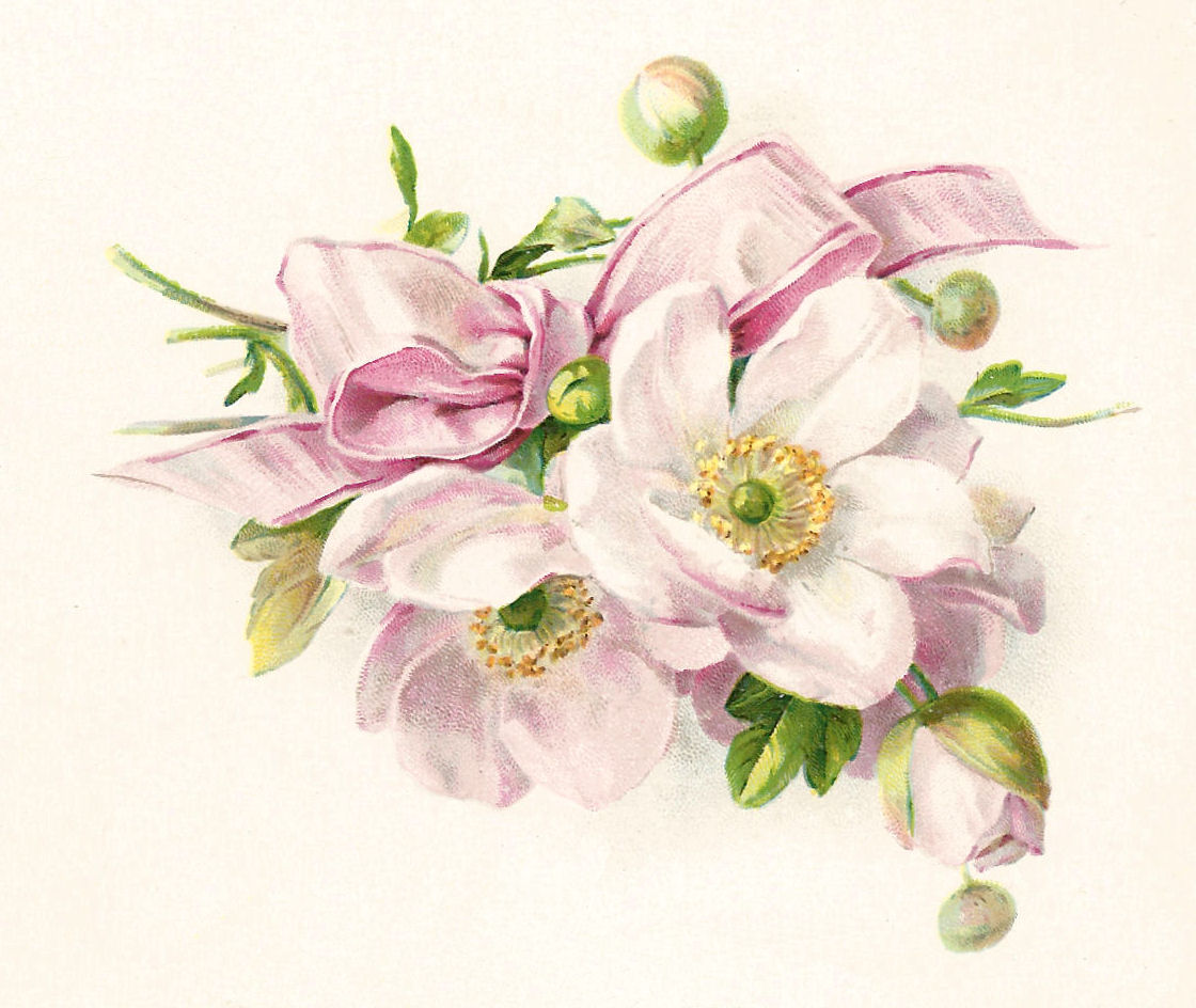 Free Vintage Illustration Flowers