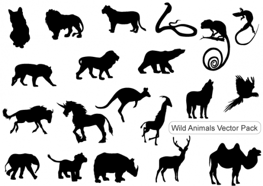12 Photos of Wild Animals Vector Graphic