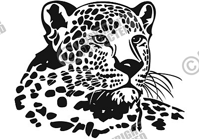 Leopard Head Coloring Pages