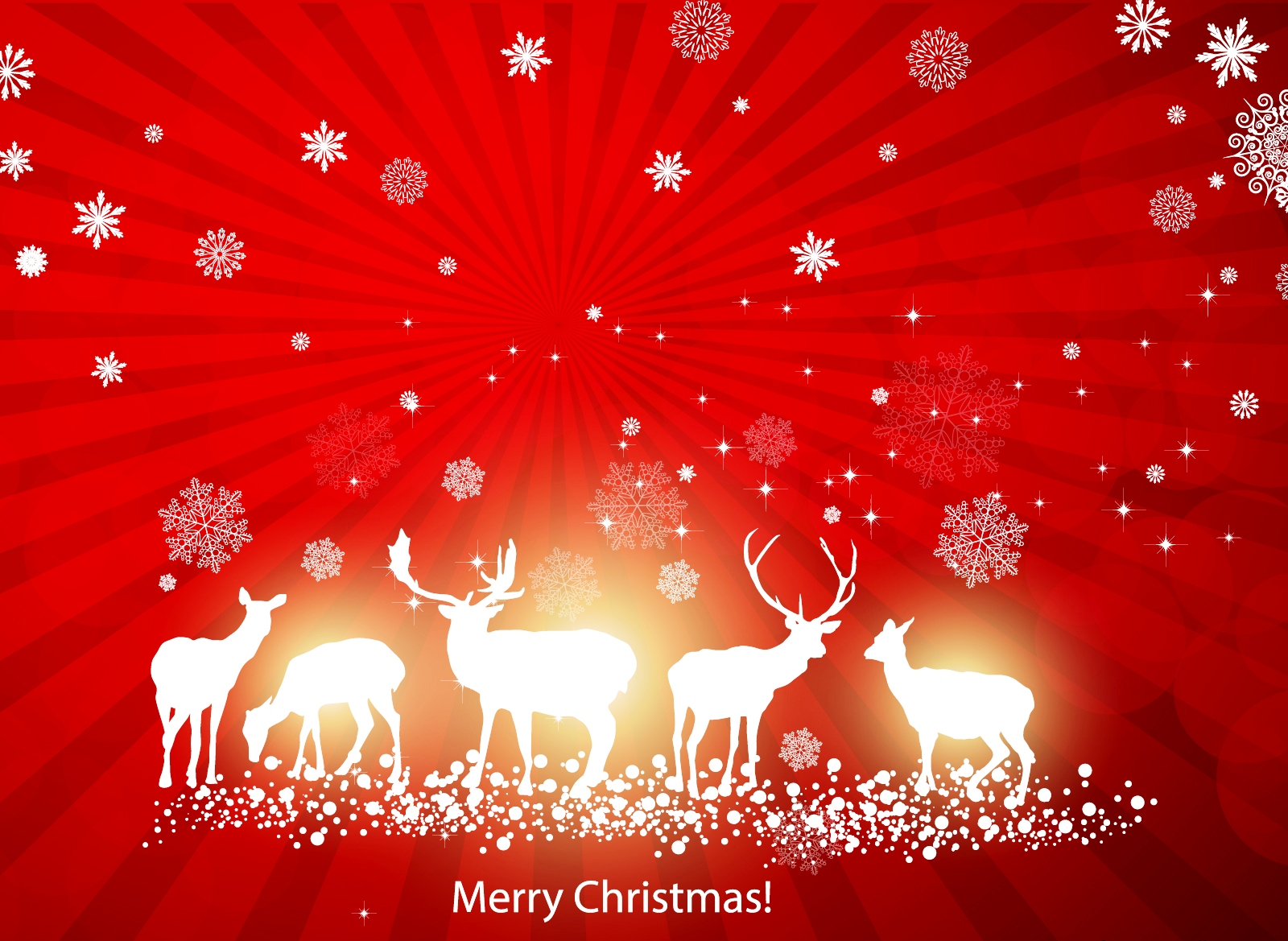 Merry Christmas Email Merry Christmas Email