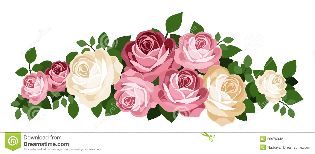 Pink Rose Vector Illustration Pink Rose Vector Illustration