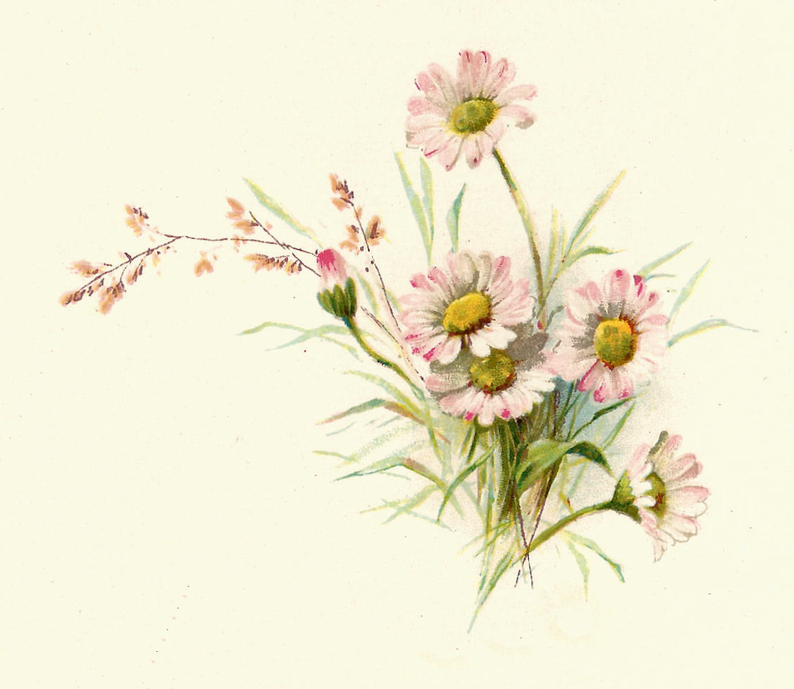 Pink Vintage Flower Clip Art