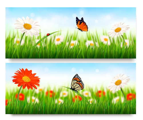 Summer Flowers Vector