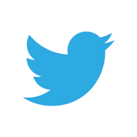 Twitter Logo Icon for Email Signature