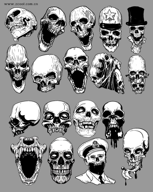 Vector Skull Graphics Vector Skull Graphics