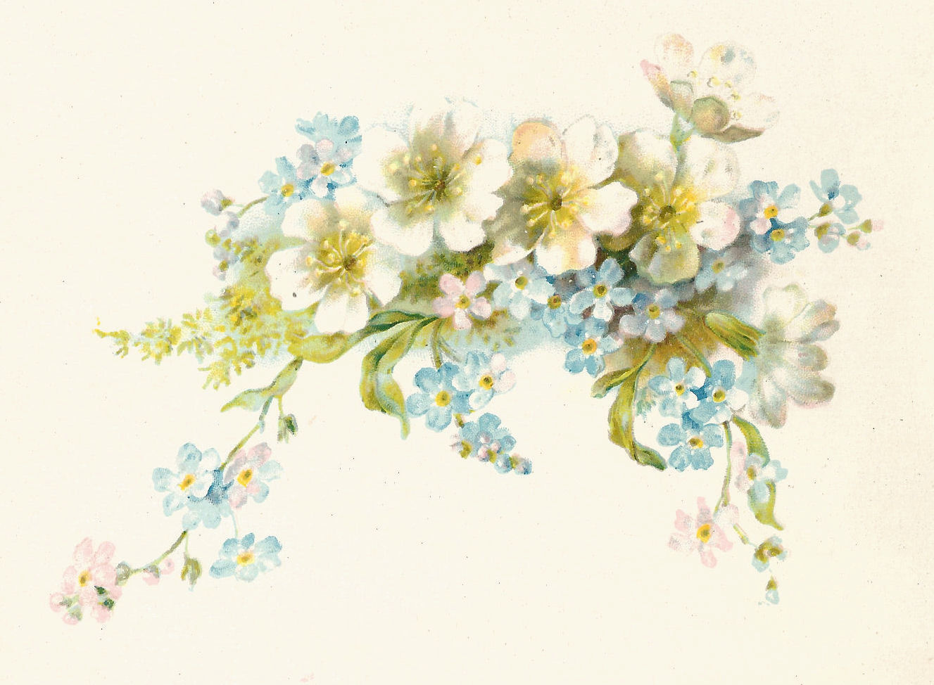 Vintage Blue Flower Graphic