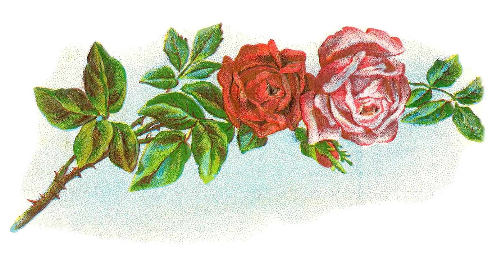 Vintage Rose Border Clip Art