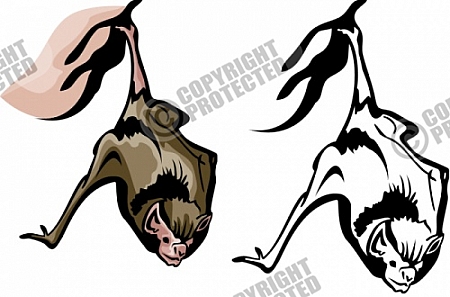 Wild Animal Clip Art Vector