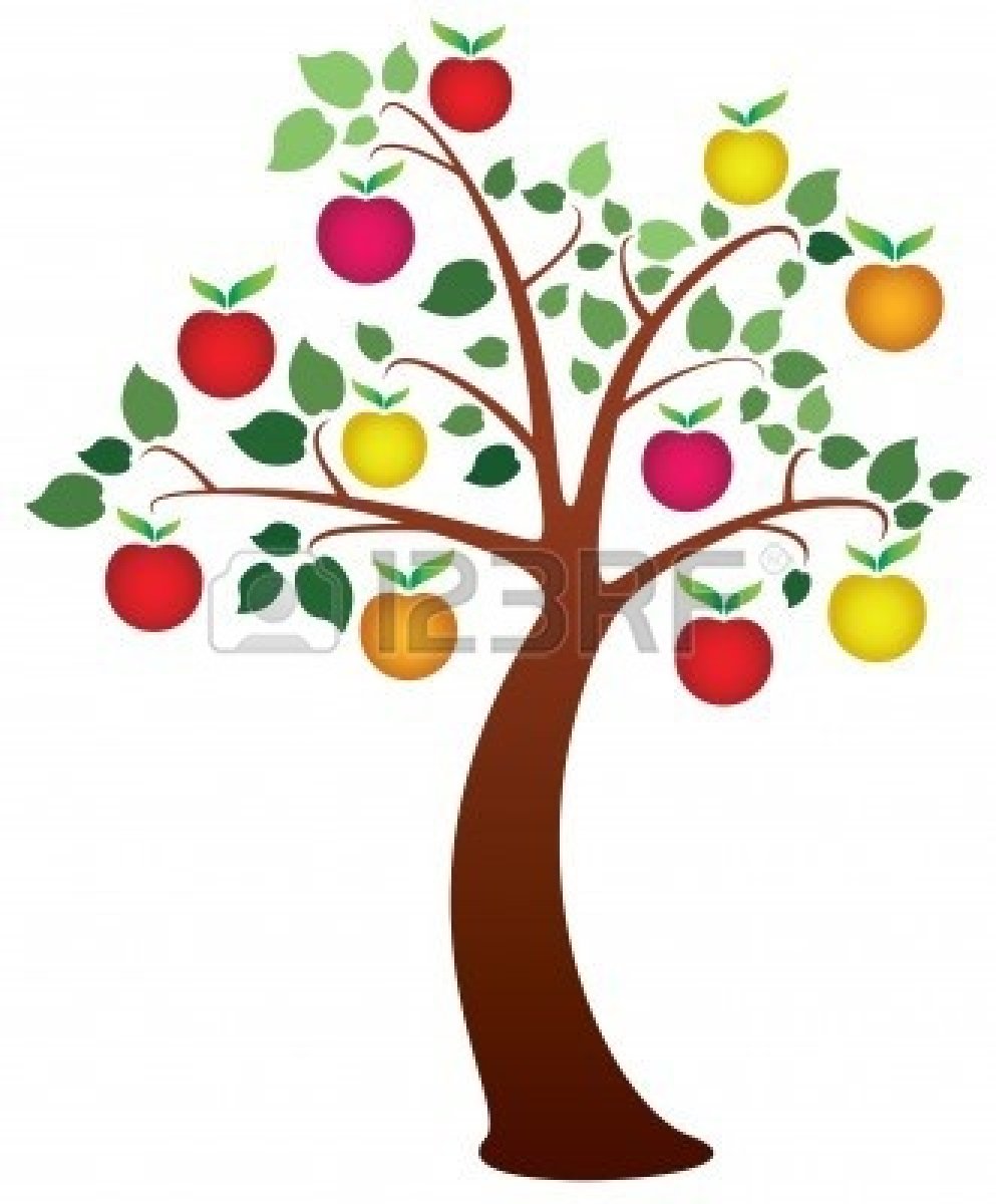 Apple Tree Illustration