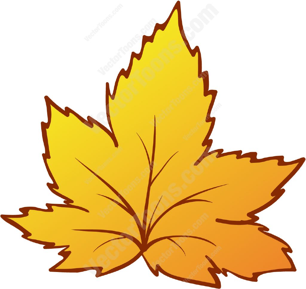 Autumn Leaf Cartoon