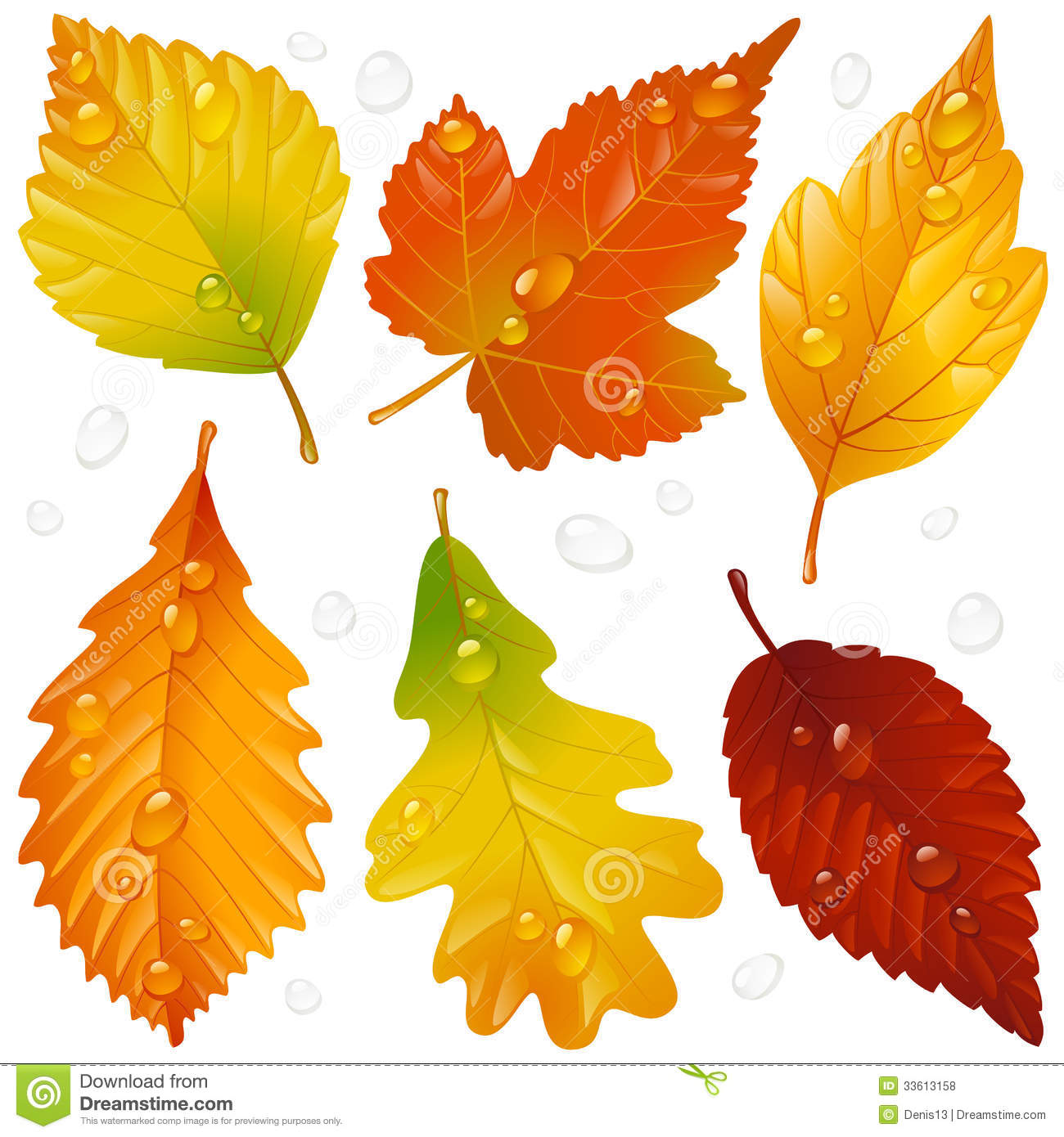 Autumn Leaves Vector