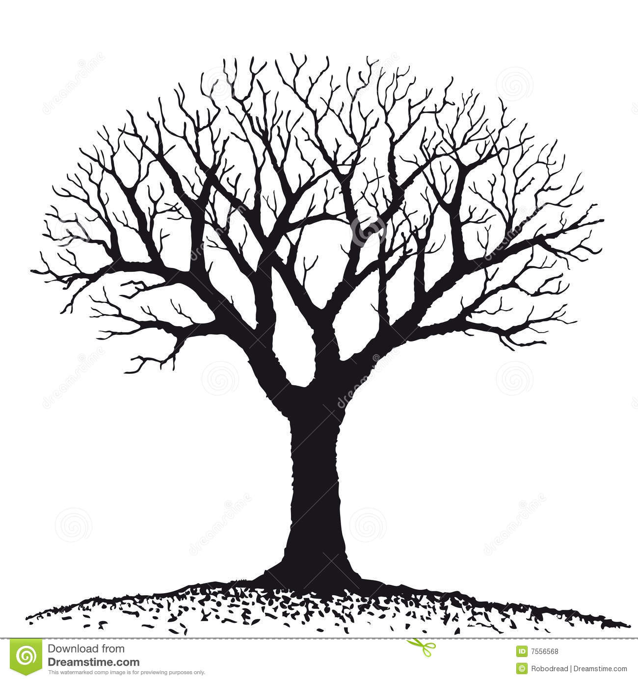 Black and White Bare Tree Black and White Bare Tree