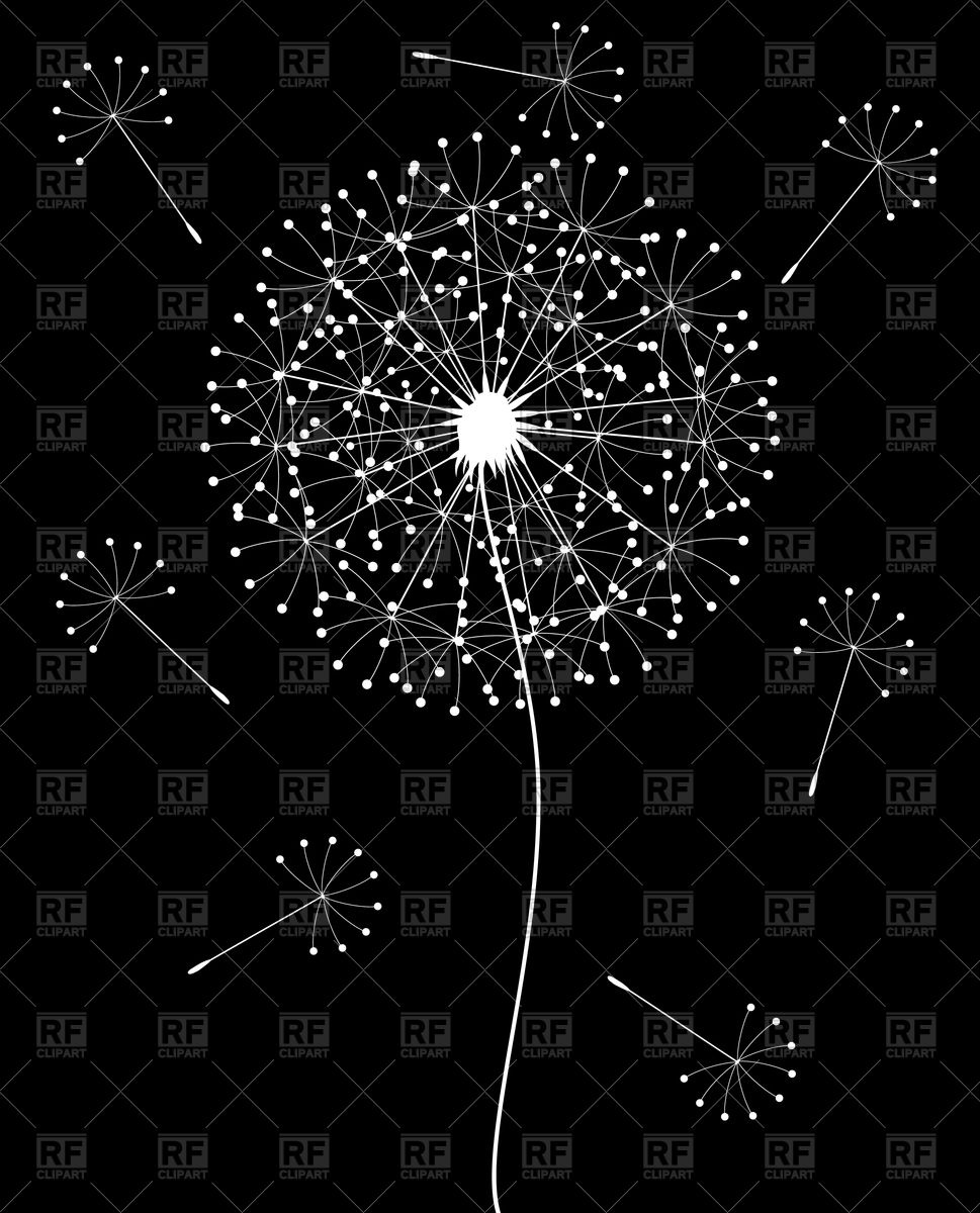 Black and White Dandelion Background