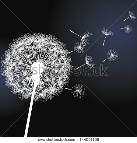 Black and White Dandelion Clip Art