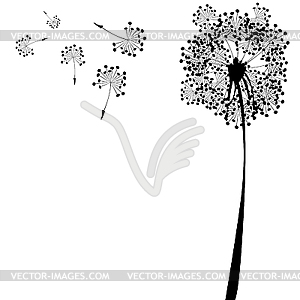 Black and White Dandelion Clip Art