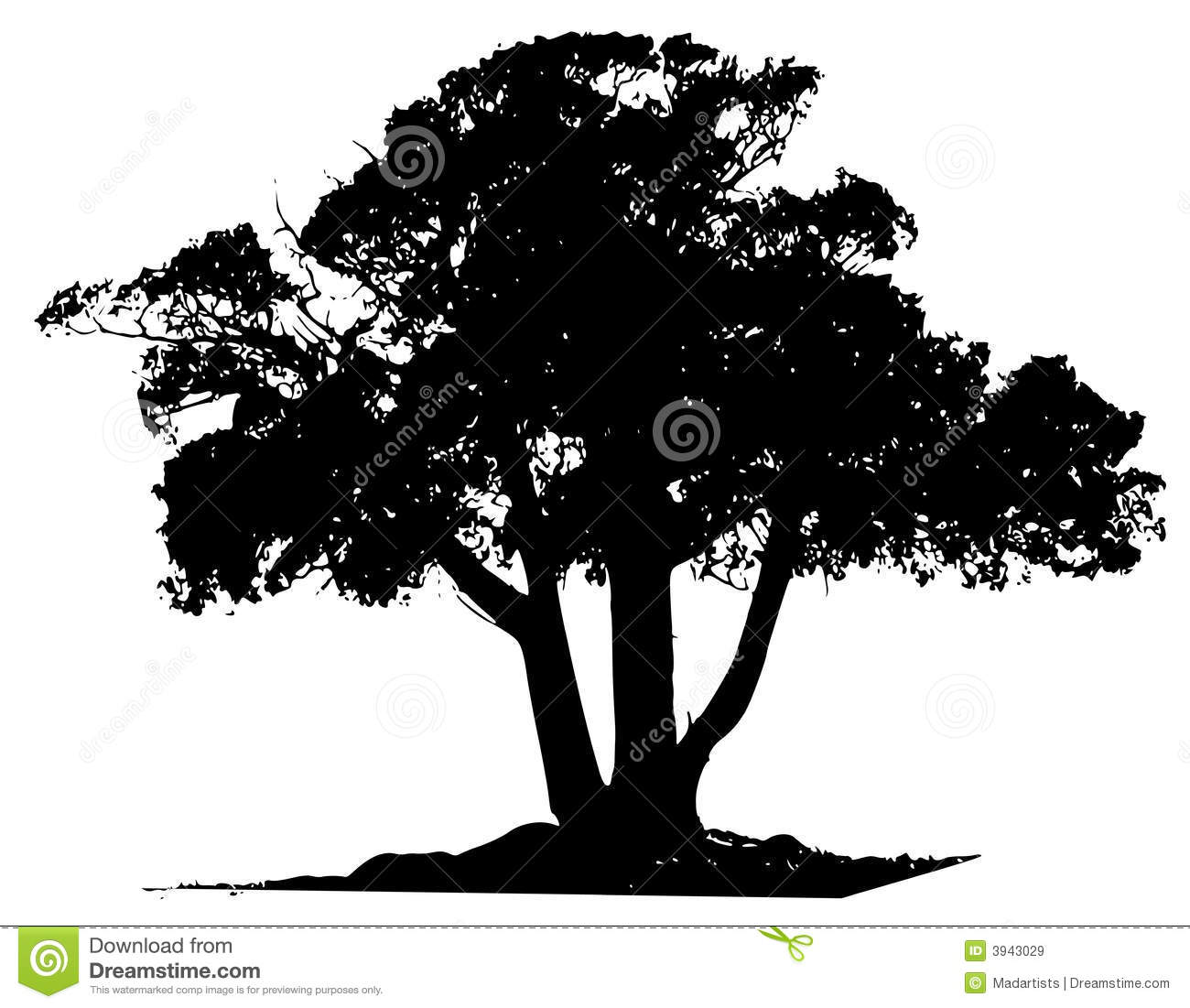 Black and White Tree Outline Black and White Tree Outline