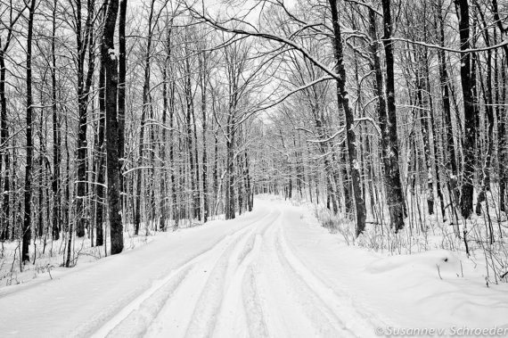 Black and White Winter Snow