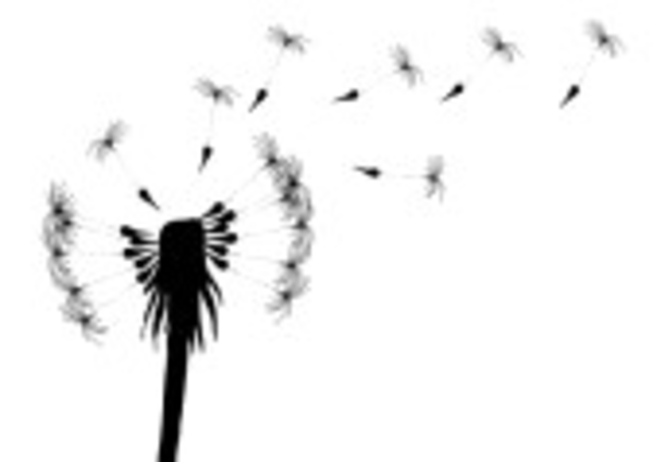 Blowing Dandelion Clip Art Free