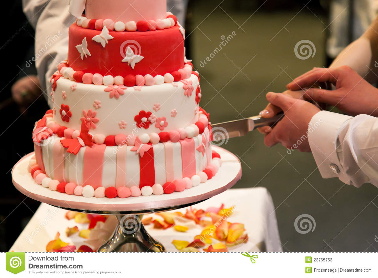 Bride and Groom Cutting Wedding Cake