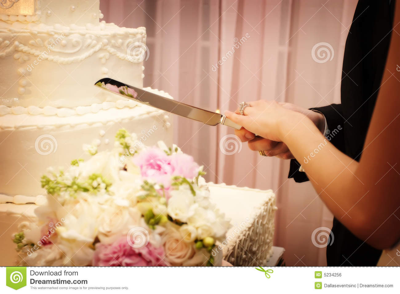 Bride and Groom Cutting Wedding Cake