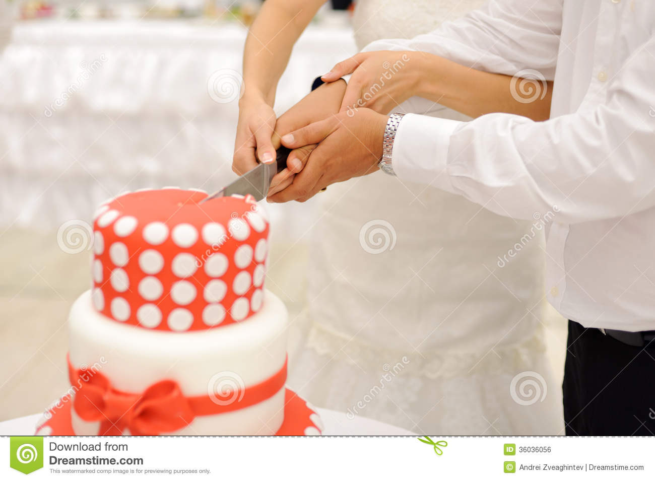 Bride and Groom Cutting Wedding Cake