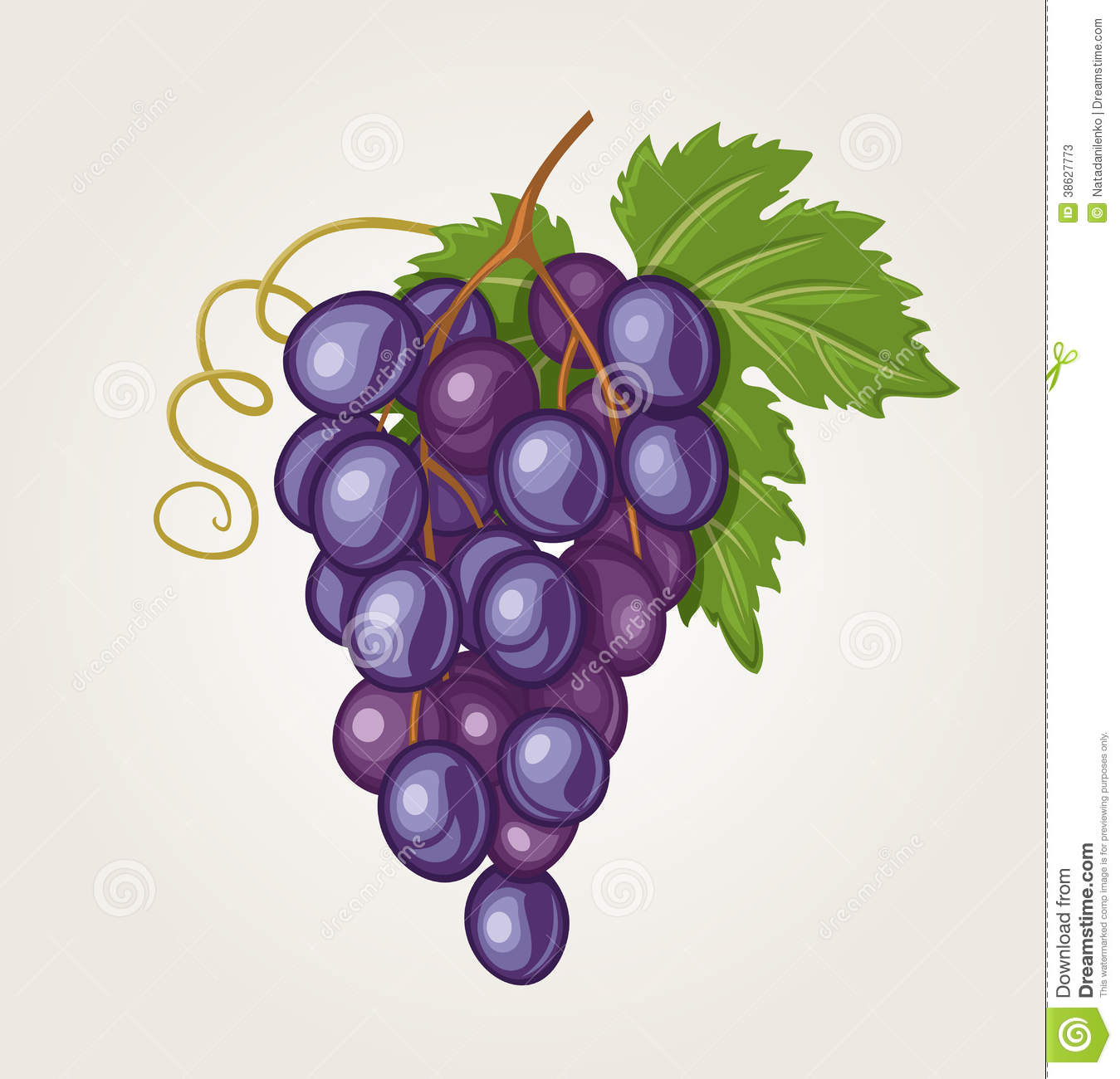 Bunch of Grapes Vector Art