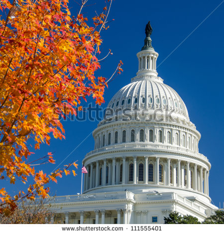 Capitol Building Washington DC Autumn