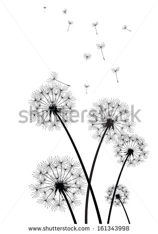 Dandelion Vector Black and White