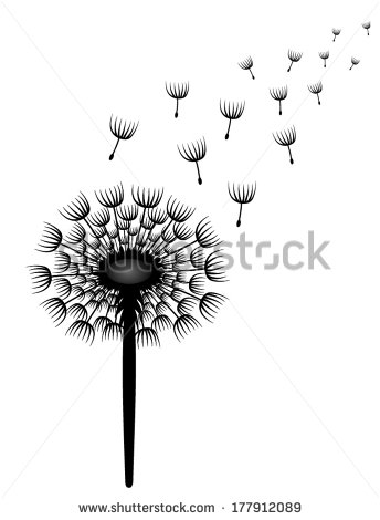 Dandelion Vector Black and White