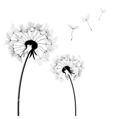 Dandelion Vector Free Clip Art