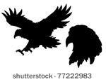 Eagle Head Silhouette