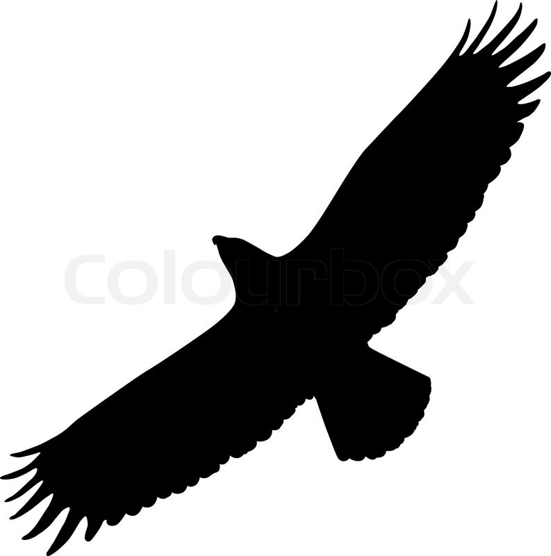 Eagle Silhouette Vector