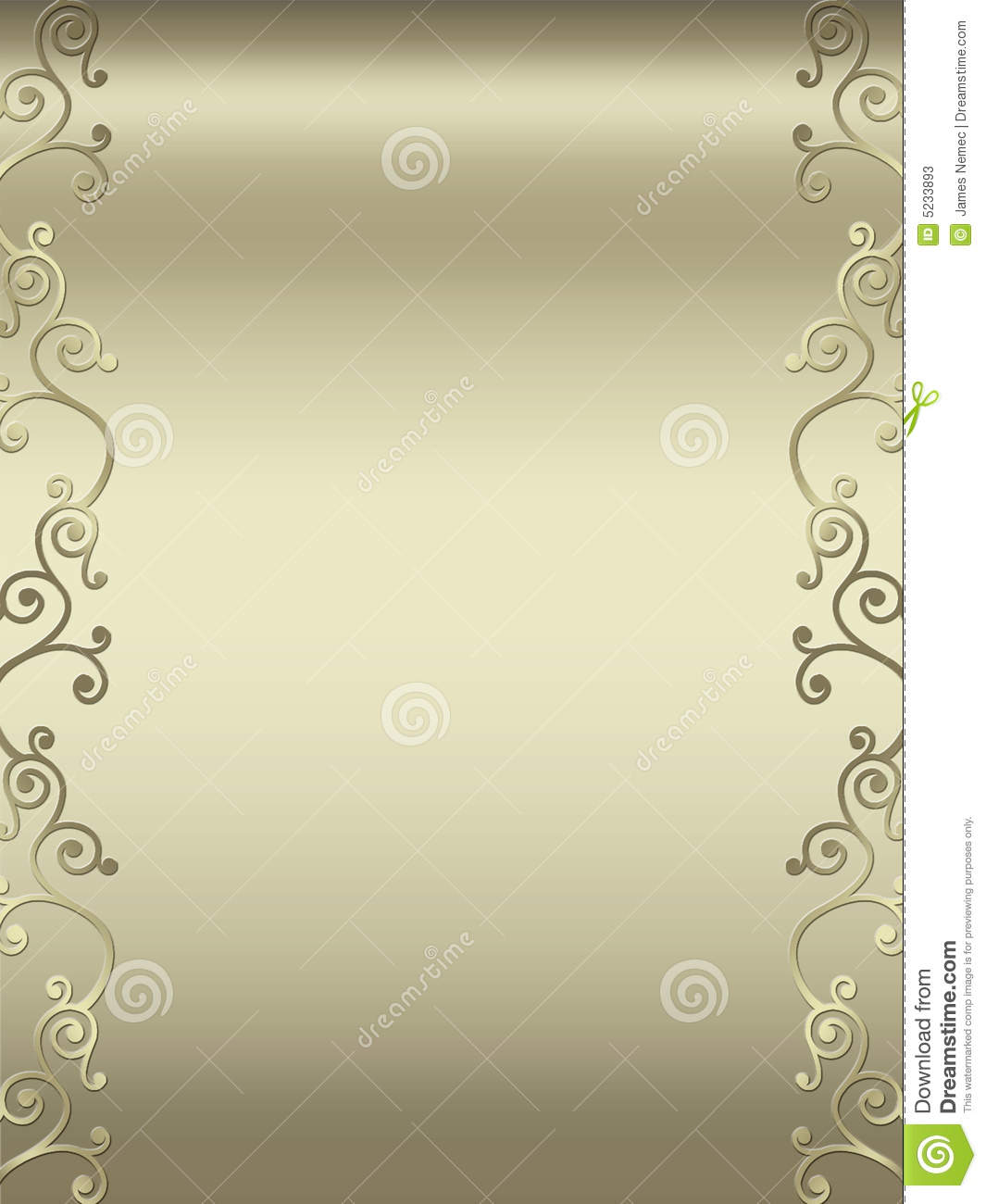 Elegant Swirl Border Designs