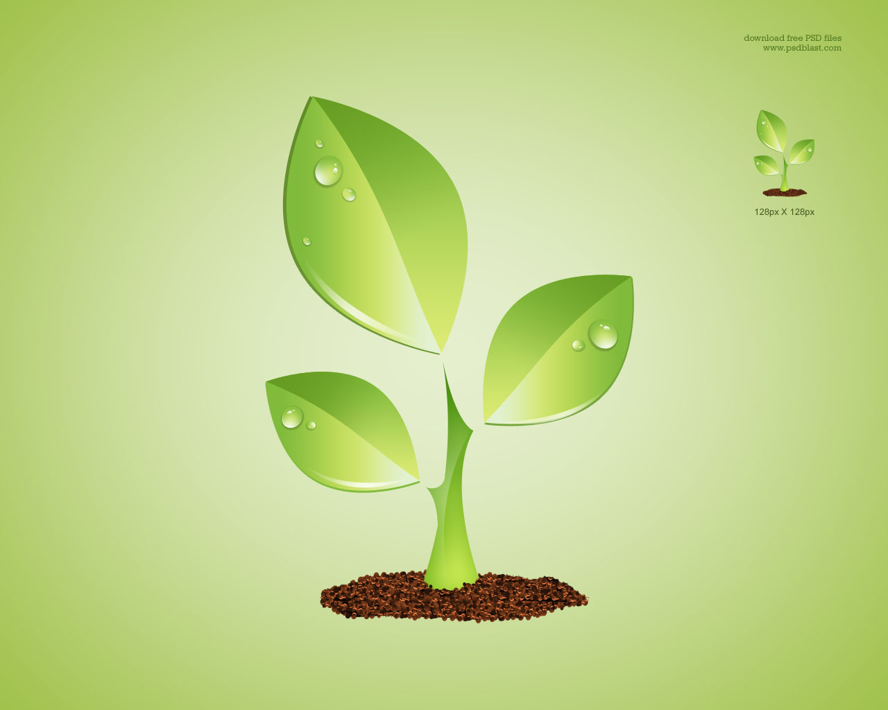 Environment Green Leaves Plants