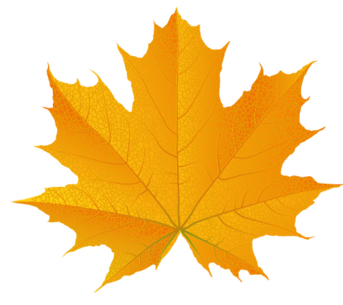 19 Photos of Fall Leaf Vector