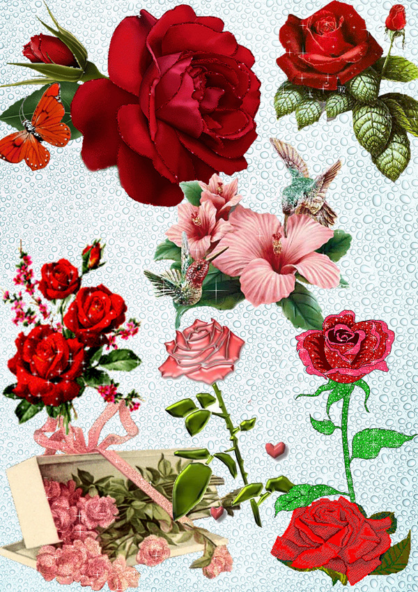 Flowers for Photoshop PSD