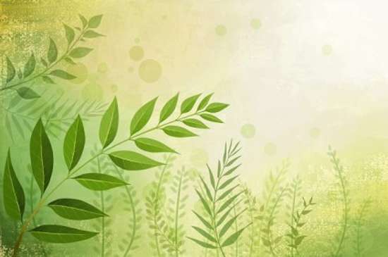 Free Flower Vector Art Free Flower Vector Art