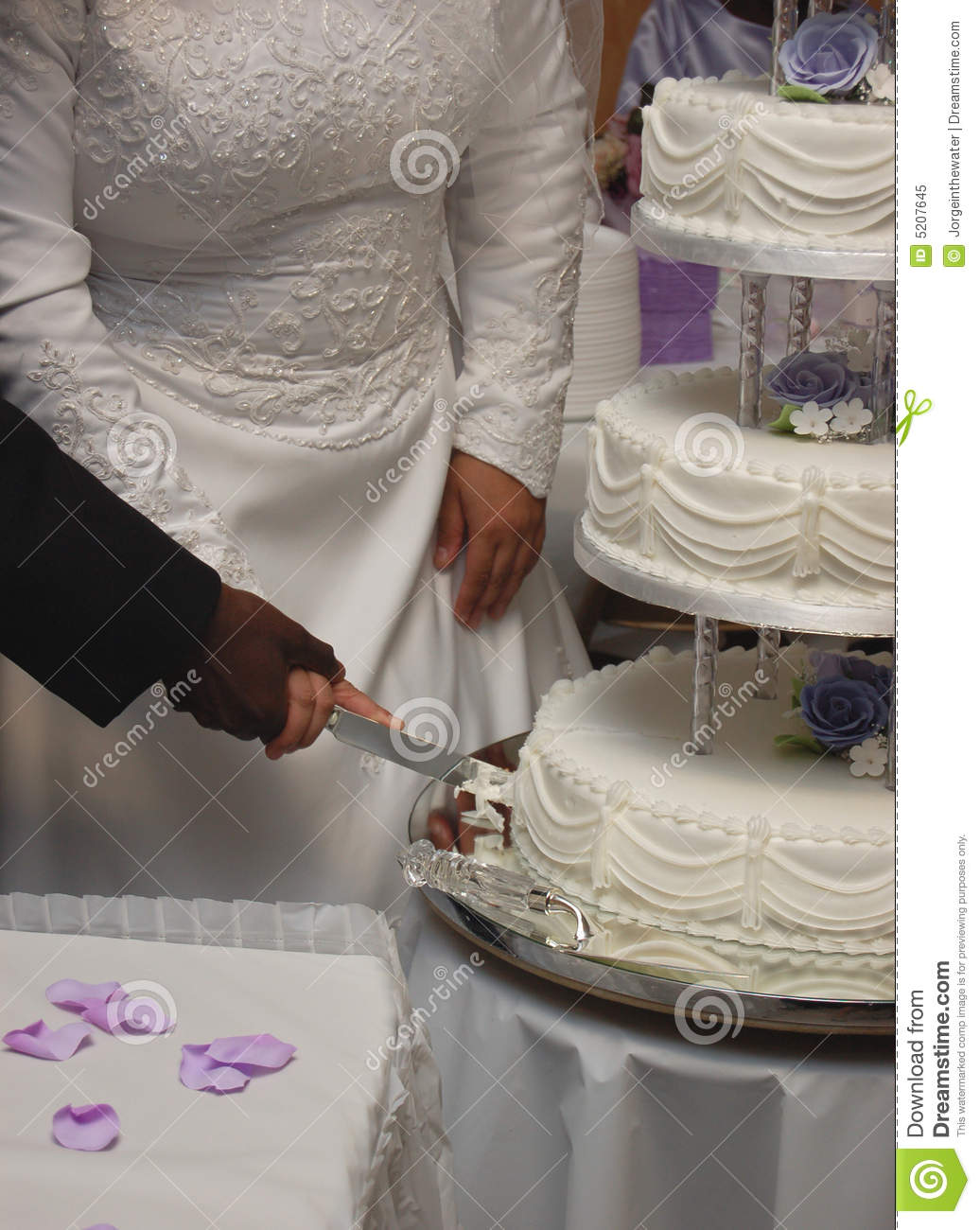 Free Pictures of a Wedding Cake Cutting