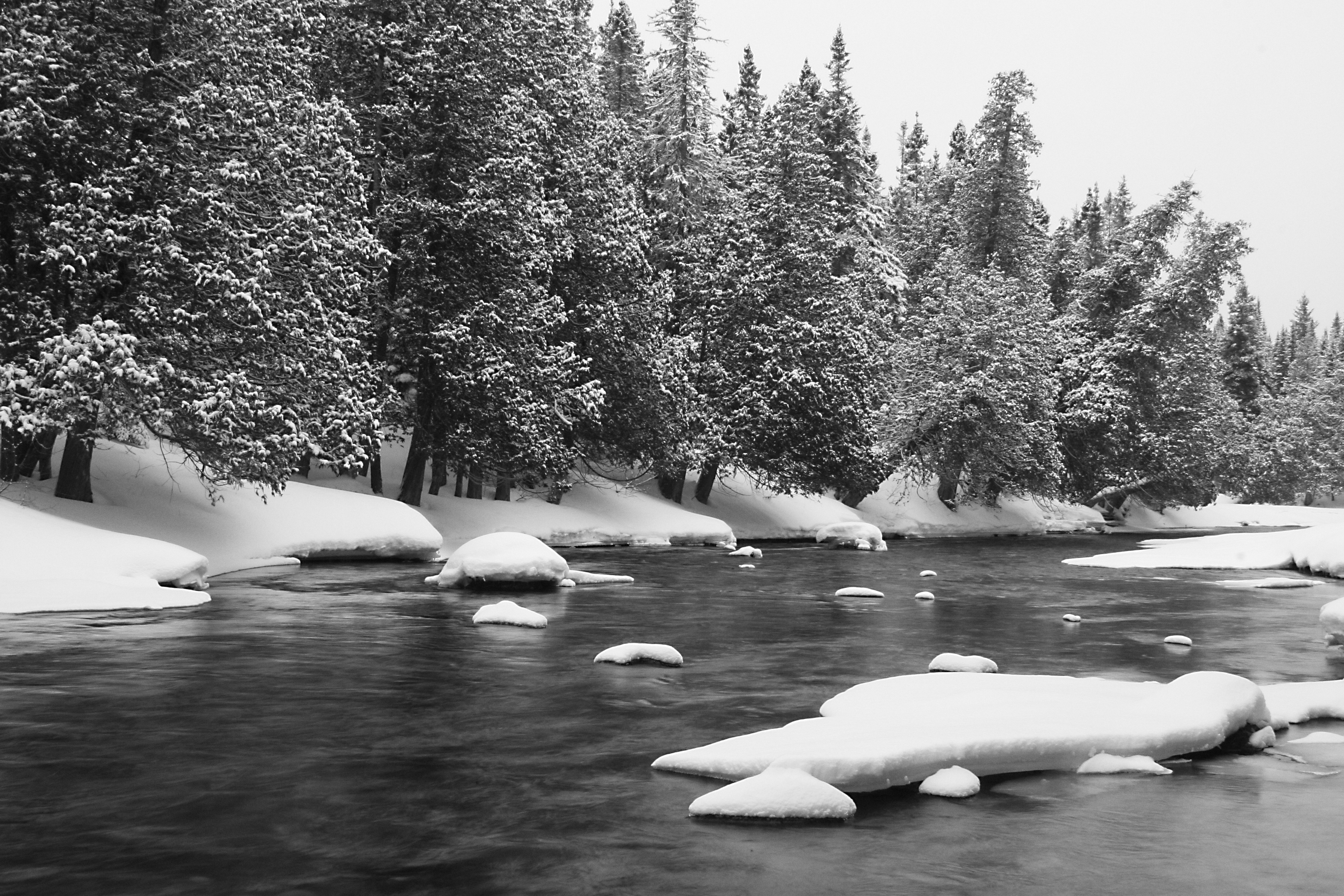 Frozen Snow White and Black Frozen Snow White and Black