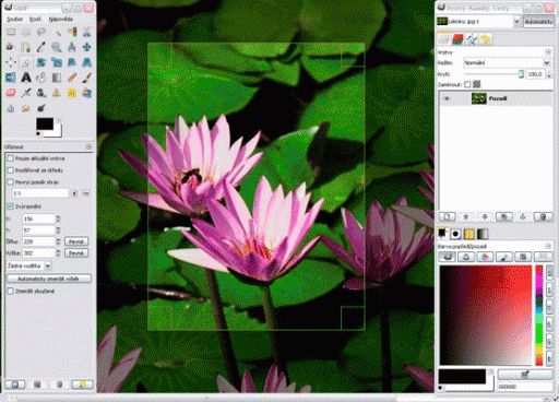 GIMP Photo Editing Software