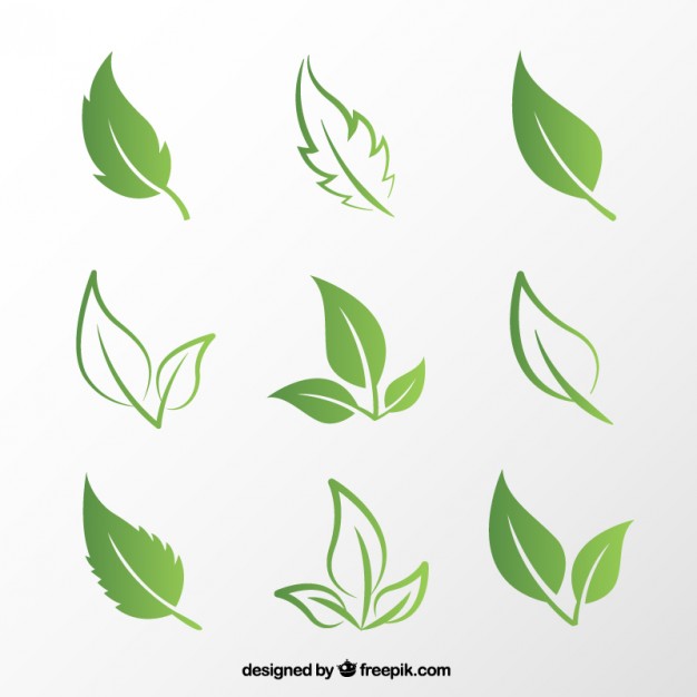 Green Leaf Vector Free Download