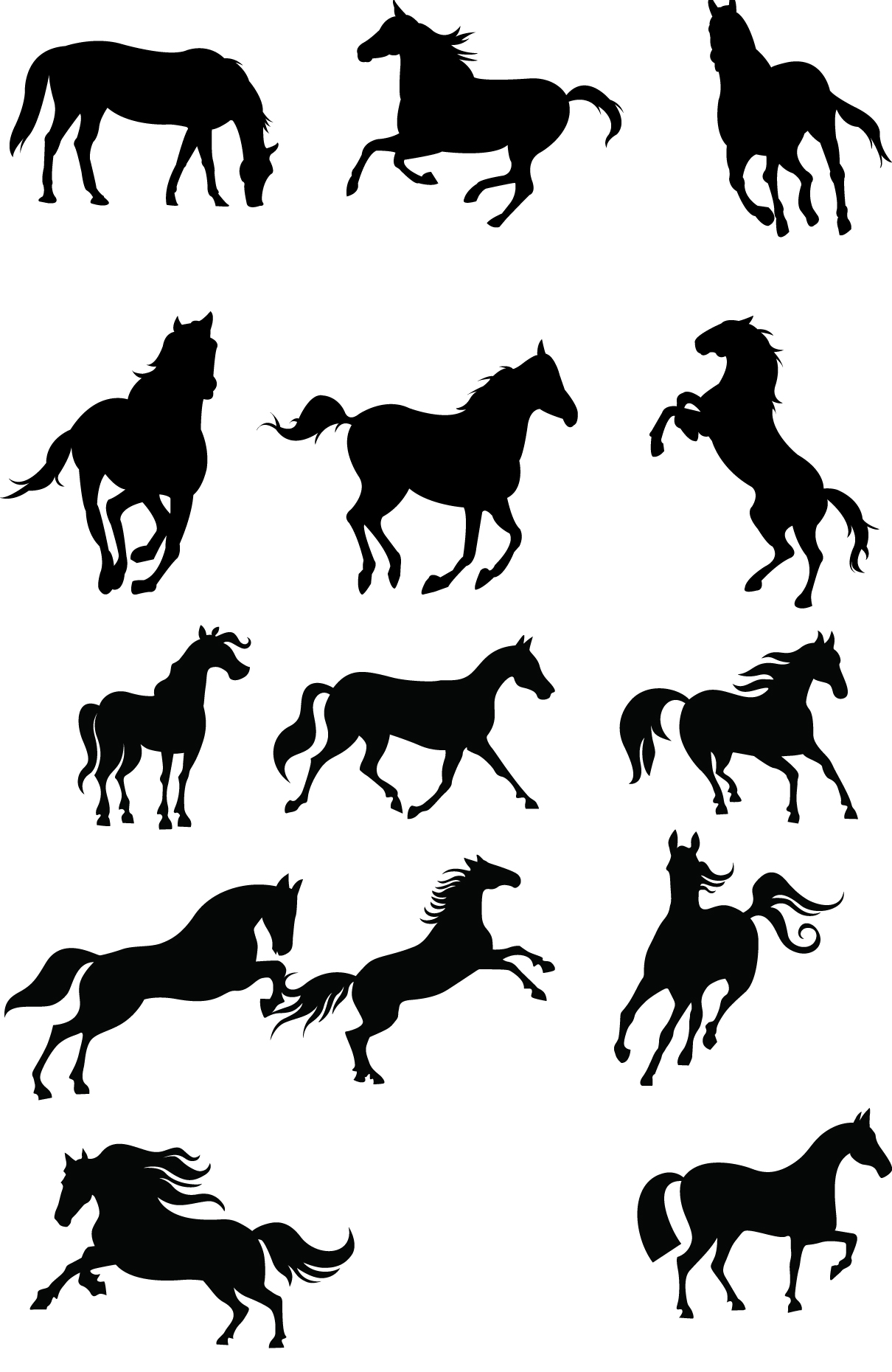 Horse Silhouette