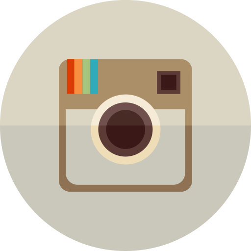 Instagram Circle Icon Vector