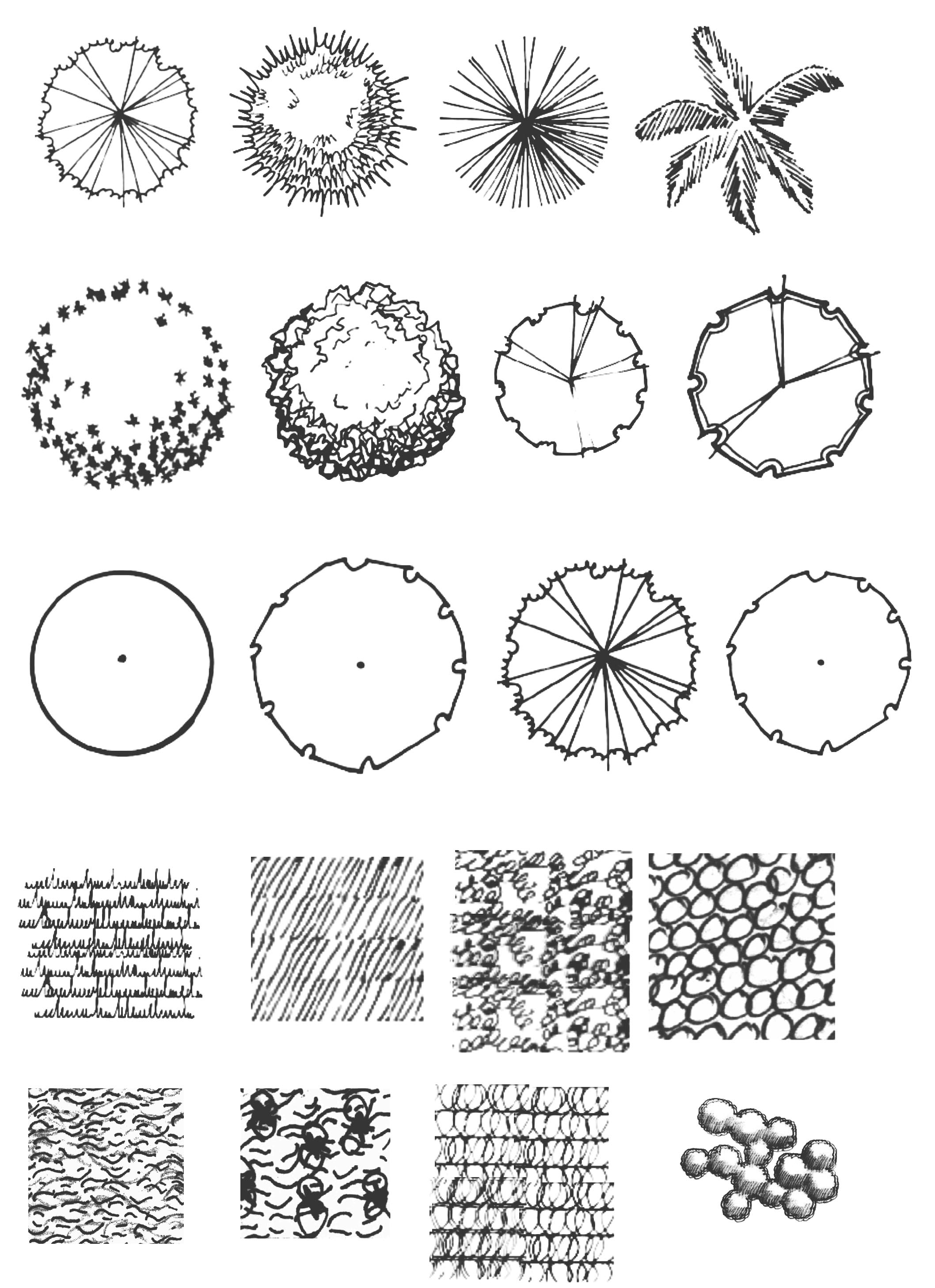 Landscape Architecture Plan View Plants