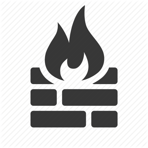 Network Firewall Security Icon